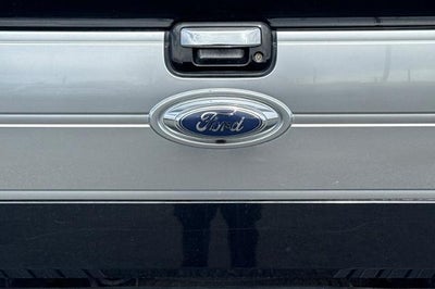 2009 Ford F-150 XL